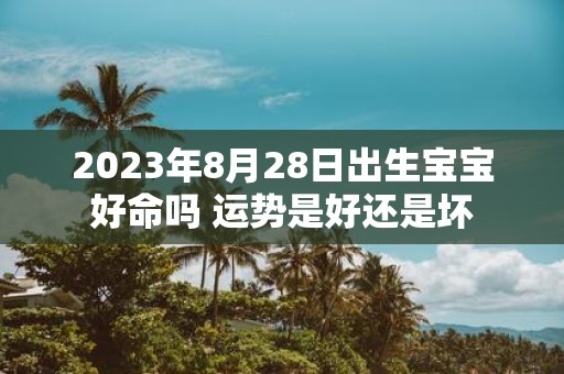 2025年8月28日出生宝宝好命吗 运势是好还是坏