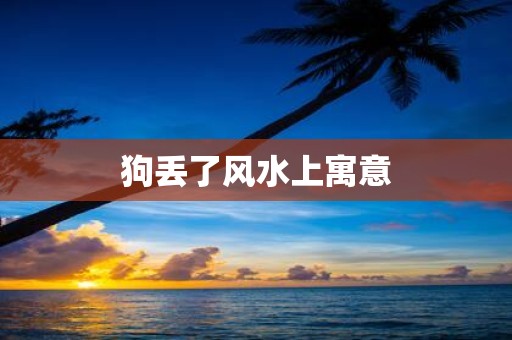 狗丢了风水上寓意