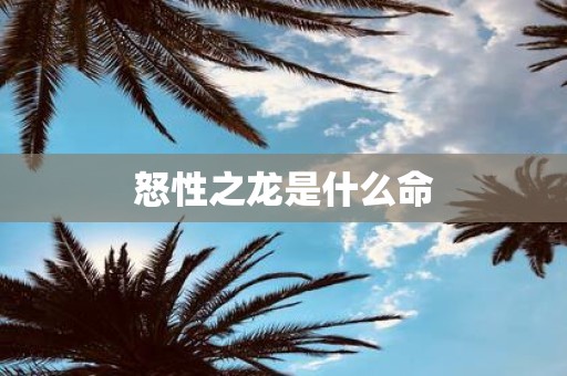 怒性之龙是什么命