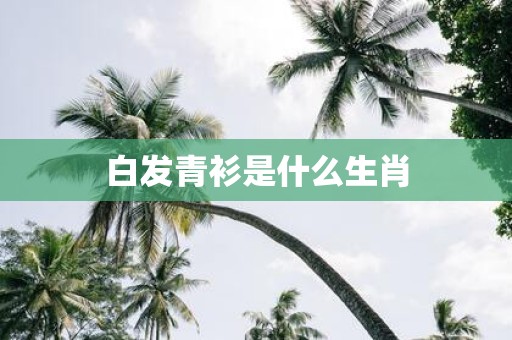 白发青衫是什么生肖