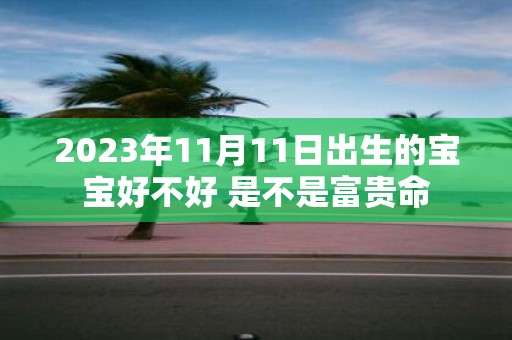 2025年11月11日出生的宝宝好不好 是不是富贵命