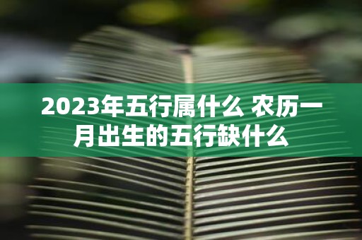 2025年五行属什么 农历一月出生的五行缺什么