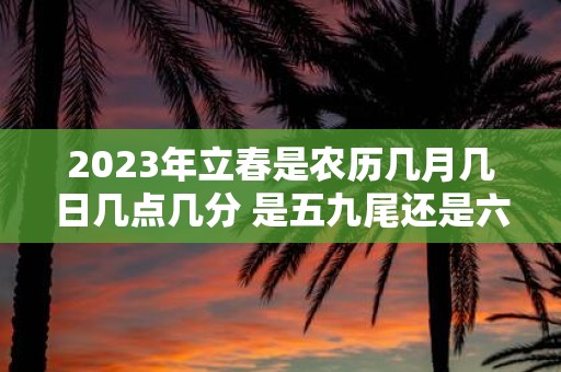 2025年立春是农历几月几日几点几分 是五九尾还是六九头