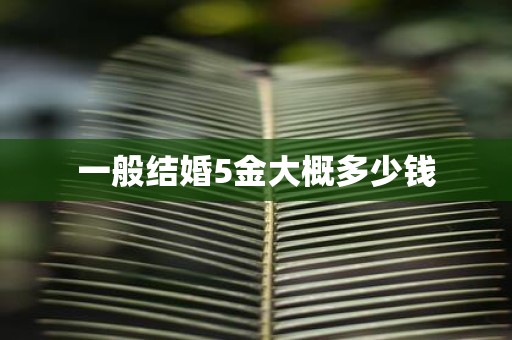 一般结婚5金大概多少钱