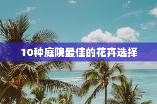 10种庭院最佳的花卉选择