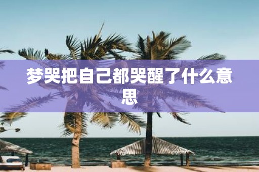 梦哭把自己都哭醒了什么意思