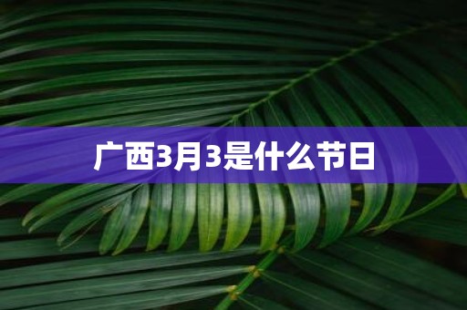 广西3月3是什么节日