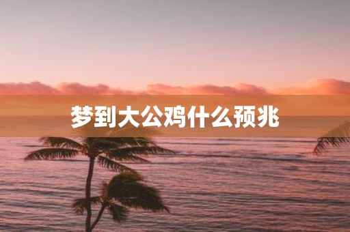 梦到大公鸡什么预兆
