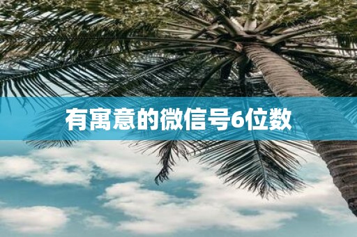 有寓意的微信号6位数
