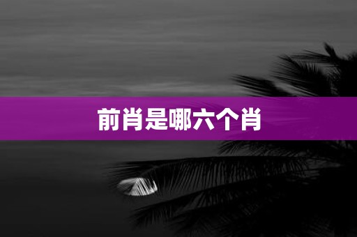 前肖是哪六个肖