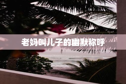 老妈叫儿子的幽默称呼