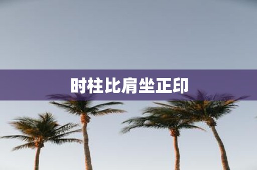 时柱比肩坐正印