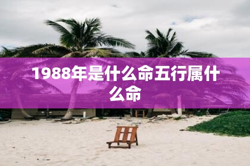 1988年是什么命五行属什么命