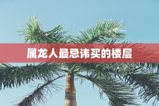 属龙人最忌讳买的楼层