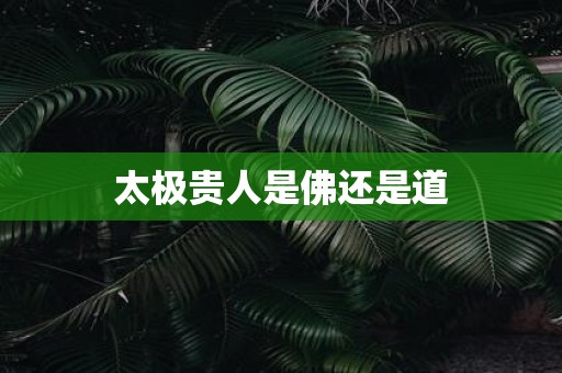 太极贵人是佛还是道