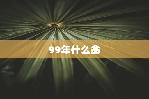 99年什么命