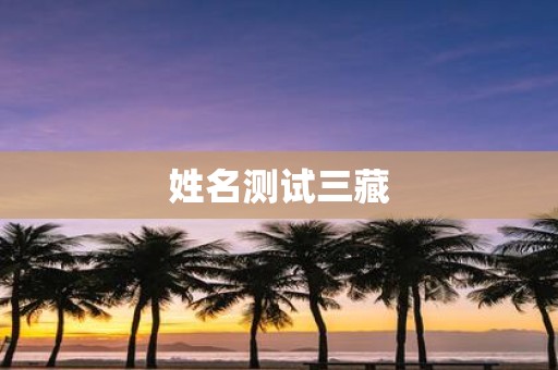 姓名测试三藏