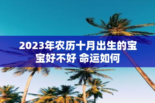 2025年农历十月出生的宝宝好不好 命运如何