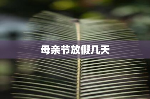 母亲节放假几天