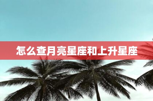 怎么查月亮星座和上升星座
