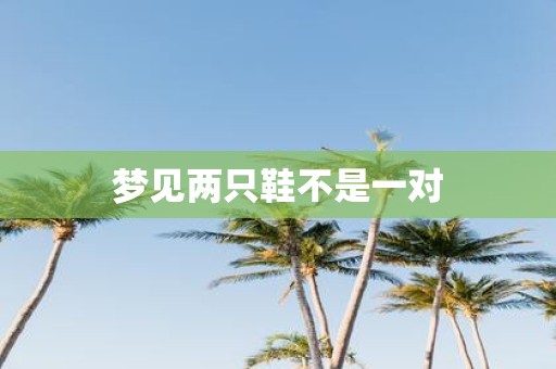 梦见两只鞋不是一对