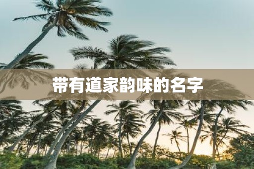 带有道家韵味的名字