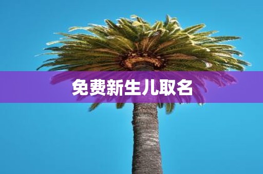 免费新生儿取名