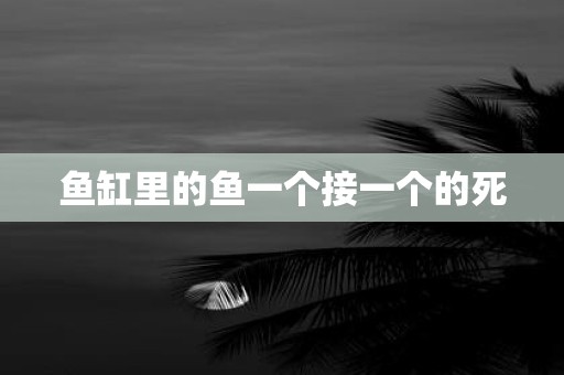 鱼缸里的鱼一个接一个的死