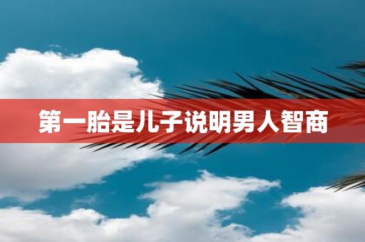 第一胎是儿子说明男人智商