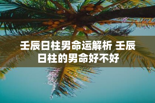 壬辰日柱男命运解析 壬辰日柱的男命好不好
