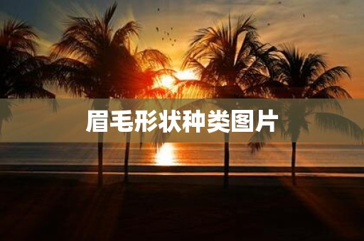 眉毛形状种类图片