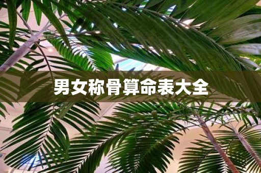 男女称骨算命表大全