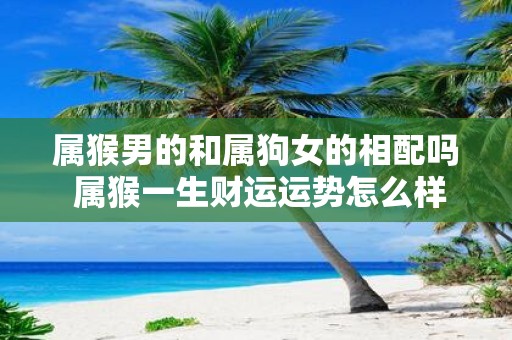 属猴男的和属狗女的相配吗 属猴一生财运运势怎么样
