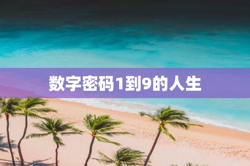 数字密码1到9的人生