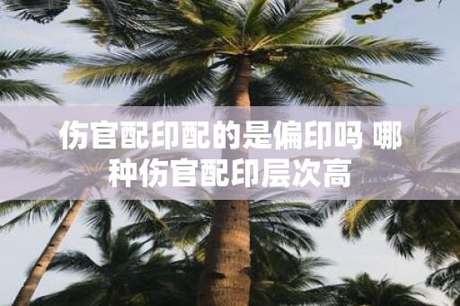 伤官配印配的是偏印吗 哪种伤官配印层次高