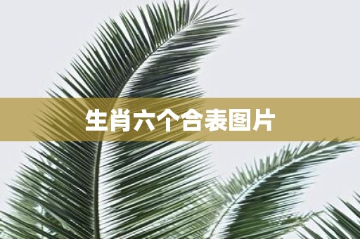 生肖六个合表图片