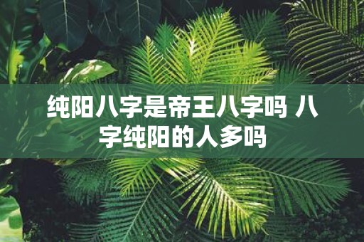 纯阳八字是帝王八字吗 八字纯阳的人多吗