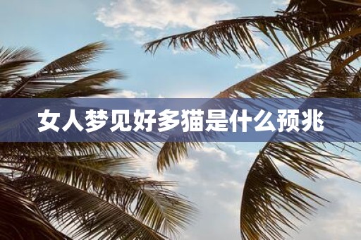 女人梦见好多猫是什么预兆