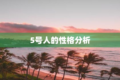 5号人的性格分析