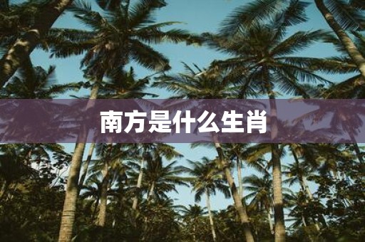 南方是什么生肖