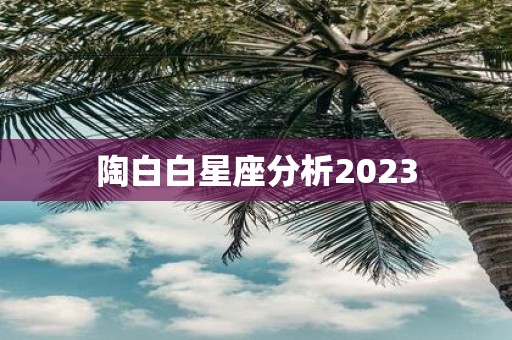 陶白白星座分析2025