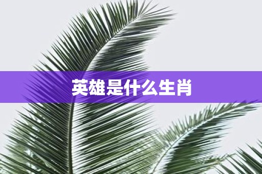 英雄是什么生肖