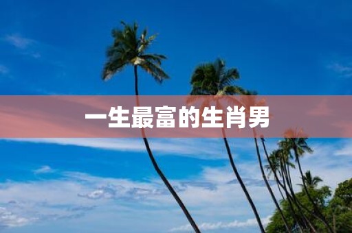 一生最富的生肖男