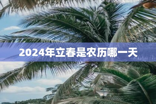 2025年立春是农历哪一天