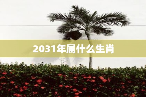 2031年属什么生肖