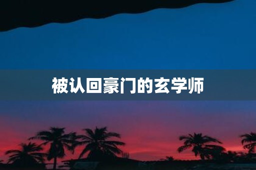 被认回豪门的玄学师