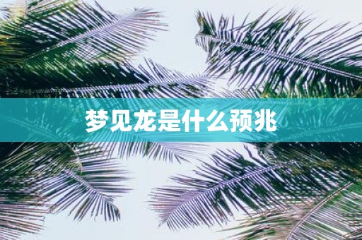 梦见龙是什么预兆