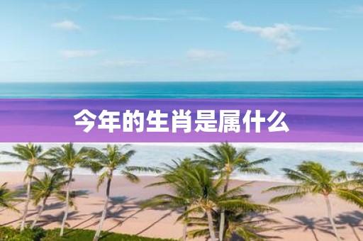 今年的生肖是属什么