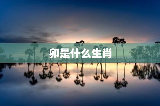 卯是什么生肖
