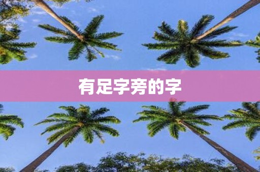 有足字旁的字